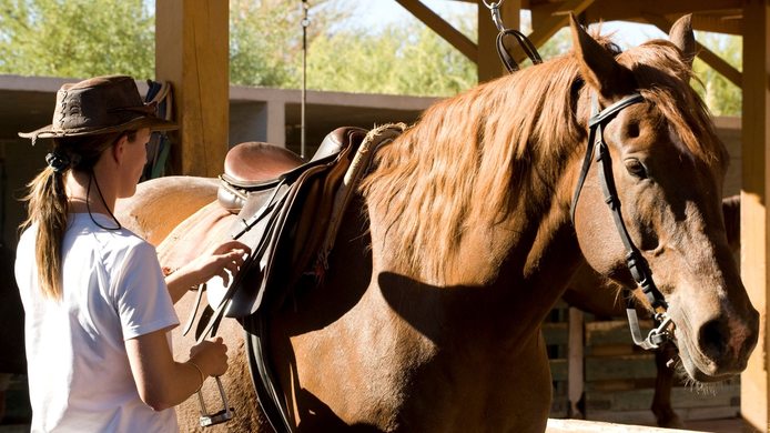 Horse riding at Atacama Desert