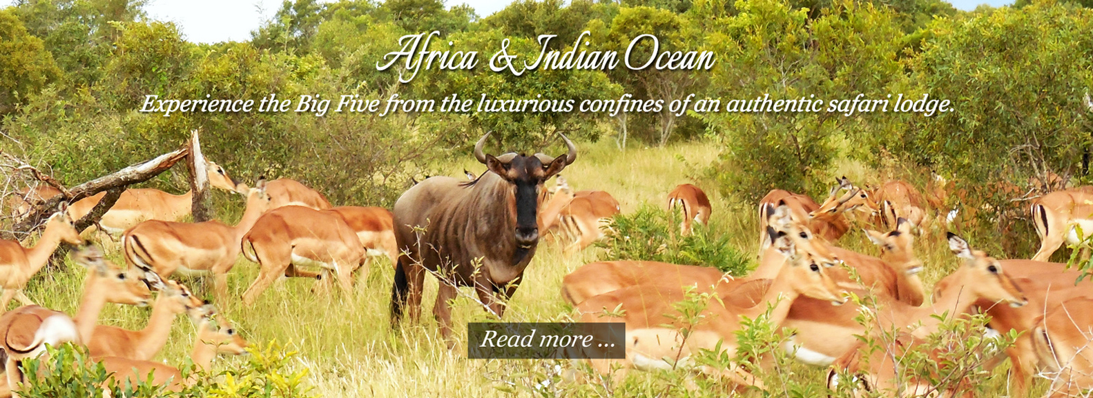 Africa & Indian Ocean